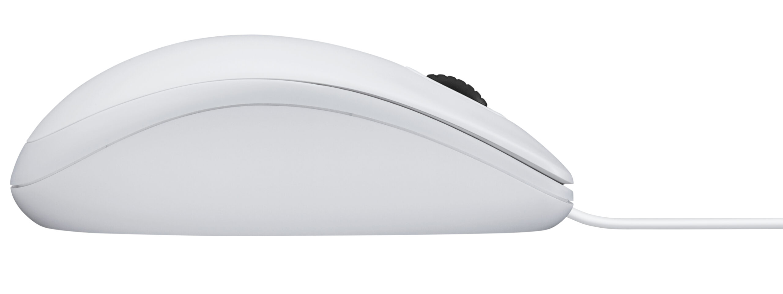Logitech B100 ratón Oficina Ambidextro USB tipo A Óptico 800 DPI - Imagen 2