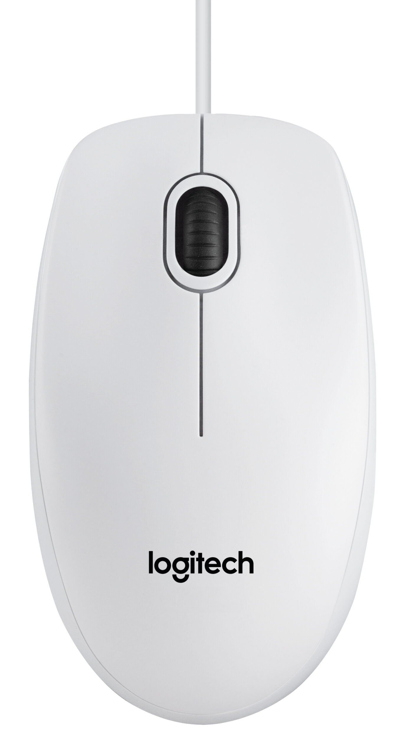 Logitech B100 ratón Oficina Ambidextro USB tipo A Óptico 800 DPI
