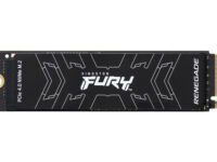 Kingston Technology 4000G FURY RENEGADE M.2 2280 NVMe SSD