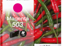 Epson Singlepack Magenta 503 Ink