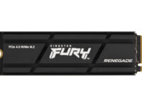 Kingston Technology 2000G RENEGADE PCIe 4.0 NVMe SSD W/ Difusor térmico