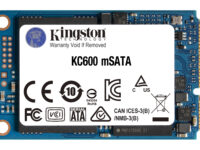Kingston Technology Disco SSD KC600 SATA3 mSATA de 256 G