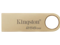 Kingston Technology DataTraveler 256GB 220MB/s Unidad USB 3.2 Gen 1 Metálica SE9 G3