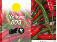 Epson Singlepack Yellow 503 Ink